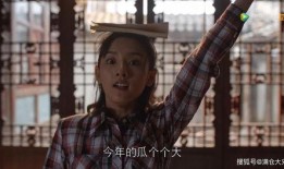 娱乐圈的吃瓜元年,2023，吃瓜元年全景回顾